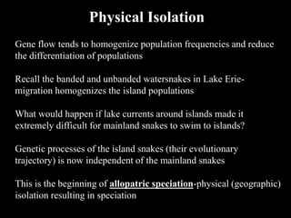 Gene flow tends to homogenize population frequencies and reduce
the differentiation of populations
Recall the banded and unbanded watersnakes in Lake Erie-
migration homogenizes the island populations
What would happen if lake currents around islands made it
extremely difficult for mainland snakes to swim to islands?
Genetic processes of the island snakes (their evolutionary
trajectory) is now independent of the mainland snakes
This is the beginning of allopatric speciation-physical (geographic)
isolation resulting in speciation
Physical Isolation
 