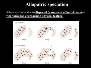 Allopatric speciation
Allopatry can be due to dispersal (movement of individuals) or
vicariance (an encroaching physical feature)
 
