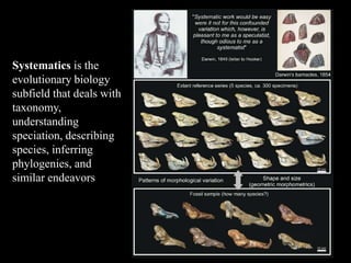 Systematics is the
evolutionary biology
subfield that deals with
taxonomy,
understanding
speciation, describing
species, inferring
phylogenies, and
similar endeavors
 