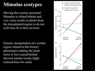 Mimulus ecotypes
Moving the coastal, perennial
Mimulus to inland habitat and
vice versa results in plants from
the transplanted region to do not
well (less fit to that environ)
Genetic manipulation of a certain
region related to life-history
phenotypes making the plant
more or less coastal/inland
showed similar results (light
colored lines for each)
 