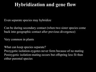Hybridization and gene flow
Even separate species may hybridize
Can be during secondary contact (when two sister species come
back into geographic contact after previous divergence)
Very common in plants
What can keep species separate?
Prezygotic isolation-zygotes never form because of no mating
Postzygotic isolation-mating occurs but offspring less fit than
either parental species
 