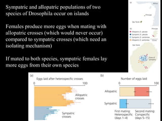Sympatric and allopatric populations of two
species of Drosophila occur on islands
Females produce more eggs when mating with
allopatric crosses (which would never occur)
compared to sympatric crosses (which need an
isolating mechanism)
If mated to both species, sympatric females lay
more eggs from their own species
 
