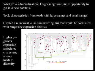 What drives diversification? Larger range size, more opportunity to
get into new habitats
Took characteristics from toads with large ranges and small ranges
Created a numerical value summarizing this that would be correlated
with range size expansion abilities
Higher p =
greater
expansion
associated
characters,
allows
toads to
diversify
 