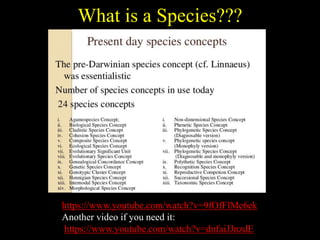 What is a Species???
https://www.youtube.com/watch?v=9fOfFlMe6ek
Another video if you need it:
https://www.youtube.com/watch?v=dnfaiJJnzdE
 