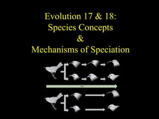 Evolution 17 & 18:
Species Concepts
&
Mechanisms of Speciation
 