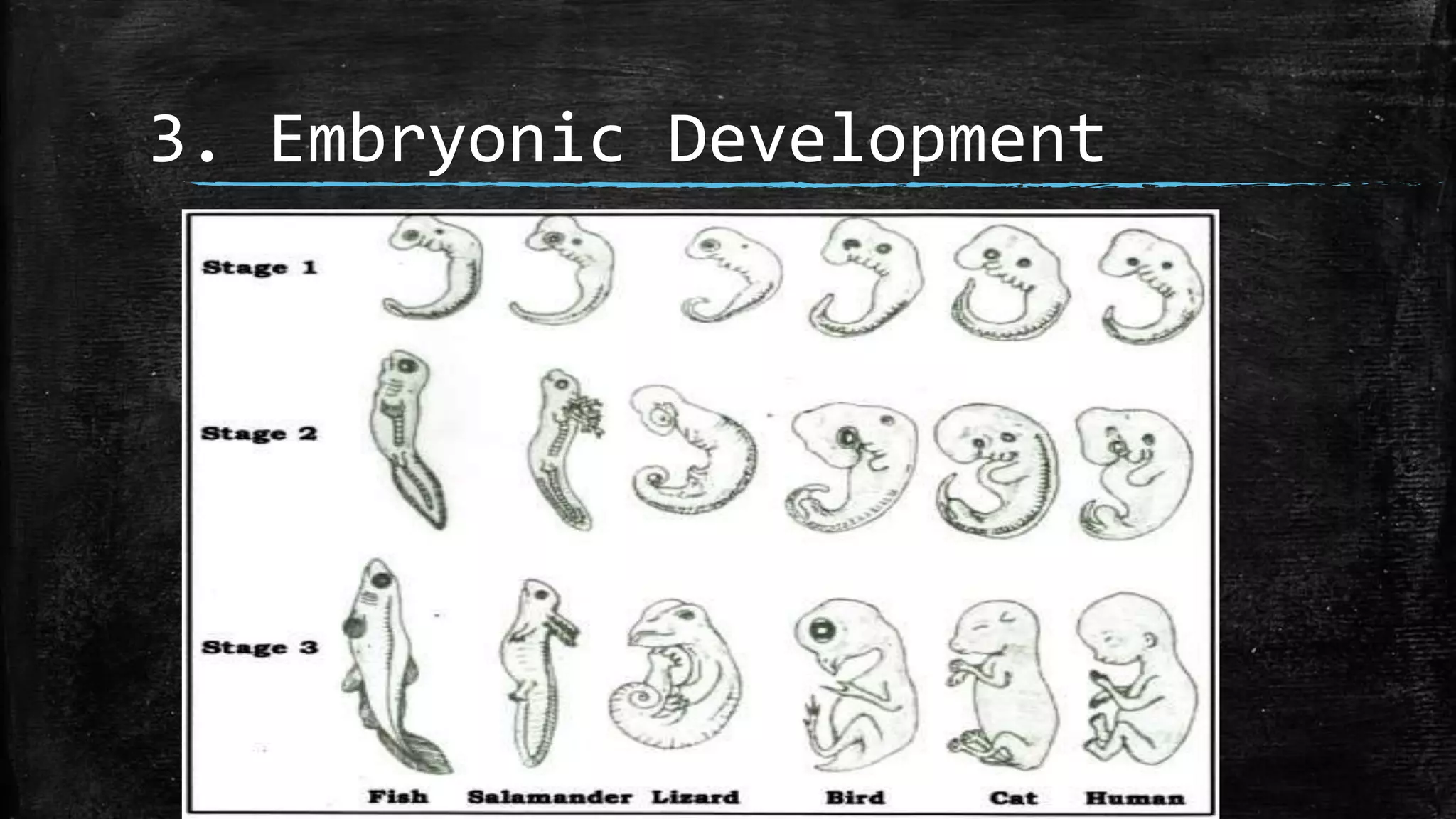 Evolution Science Grade 10 | PPTX