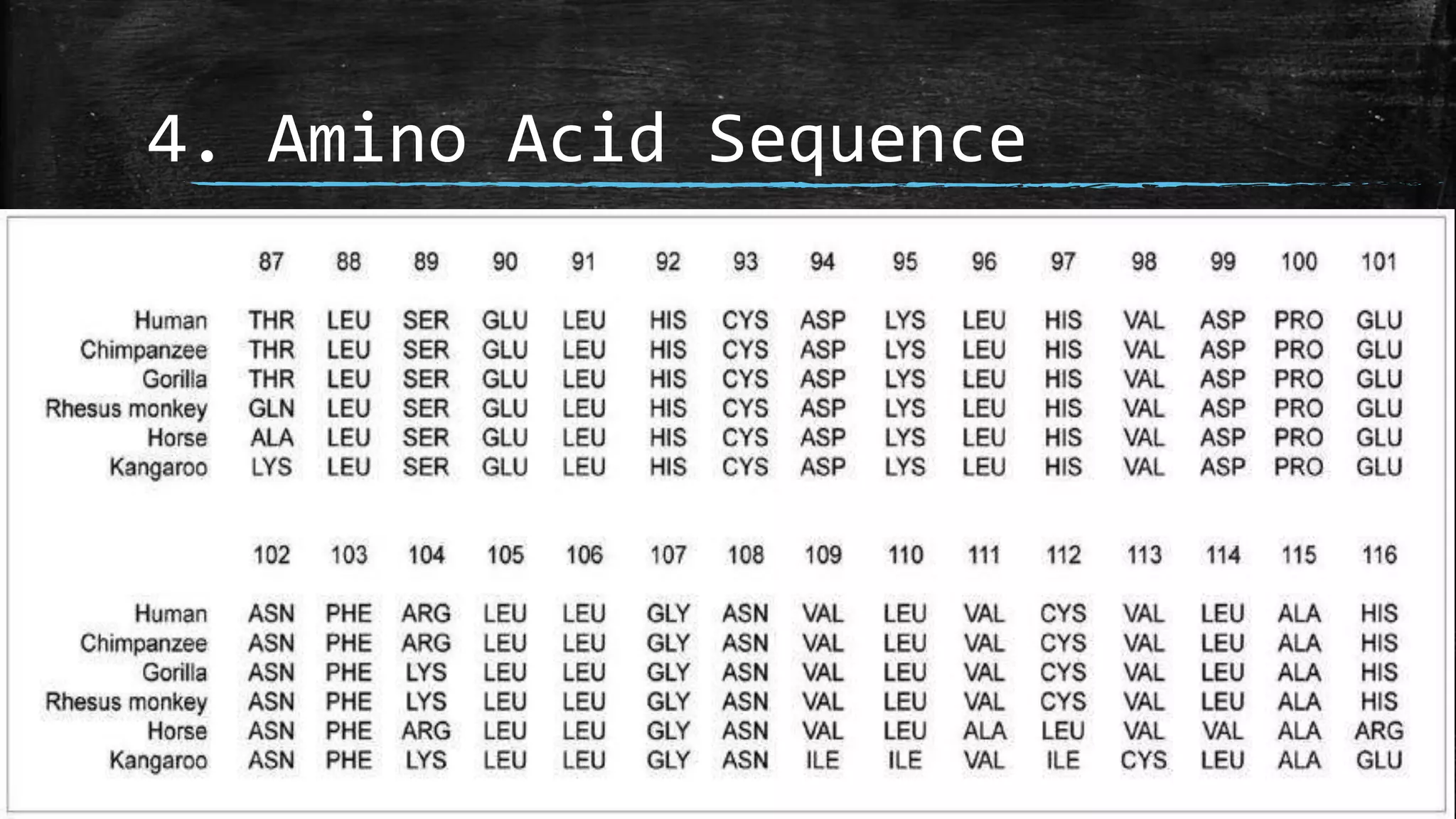Evolution Science Grade 10 | PPTX