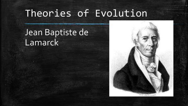 Evolution Science Grade 10 | PPTX | Geology | Science