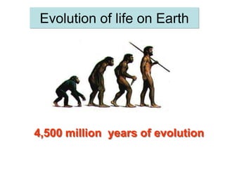 Evolution of life on Earth
4,500 million years of evolution
 