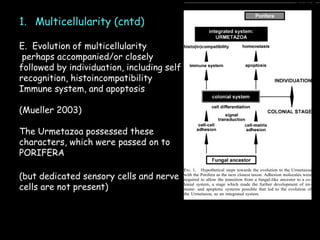 Evolution.ppt