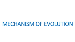 MECHANISM OF EVOLUTION
 