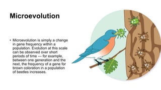 Evolution.pptx
