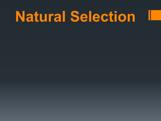 Natural Selection
 