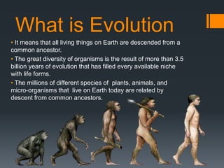 What is Evolution
• It means that all living things on Earth are descended from a
common ancestor.
• The great diversity of organisms is the result of more than 3.5
billion years of evolution that has filled every available niche
with life forms.
• The millions of different species of plants, animals, and
micro-organisms that live on Earth today are related by
descent from common ancestors.
 