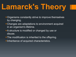 Lamarck's Theory
Organisms constantly strive to improve themselves
by changing.
Changes are adaptations to environment acquired
in an organism's lifetime.
A structure is modified or changed by use or
disuse.
The modification is inherited to the offspring.
Inheritance of acquired characteristics.
 
