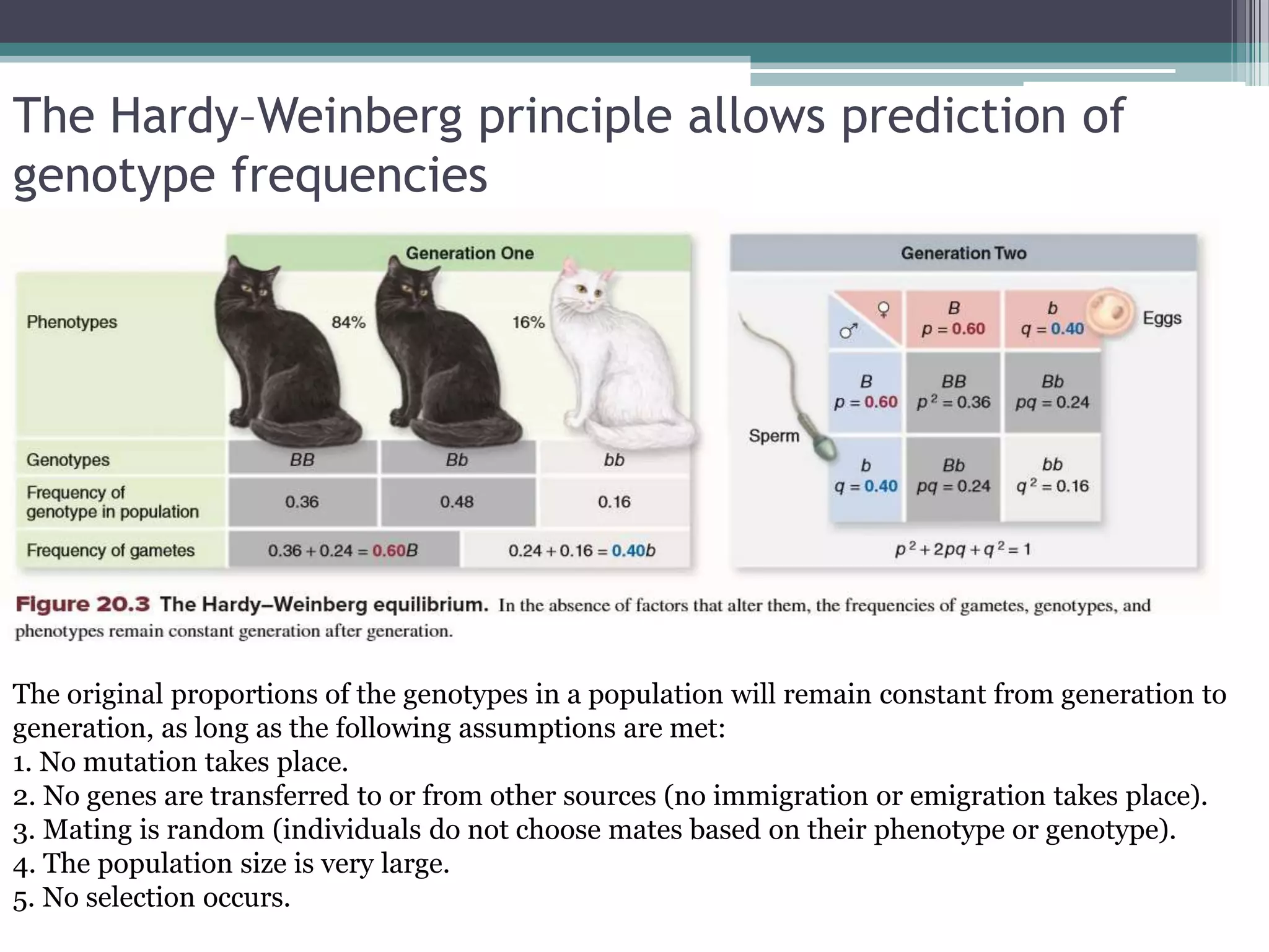 Evolution.ppt