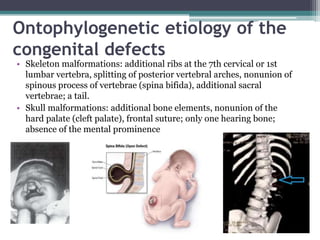 Evolution.ppt