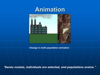 Change in moth population animation
Animation
“Genes mutate, individuals are selected, and populations evolve.”
 