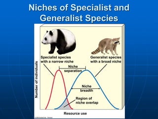 Niche
separation
Specialist species
with a narrow niche
Generalist species
with a broad niche
Niche
breadth
Region of
niche overlap
Niches of Specialist and
Generalist Species
Resource use
Number
of
individuals
 