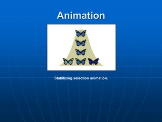 Animation
Stabilizing selection animation.
 
