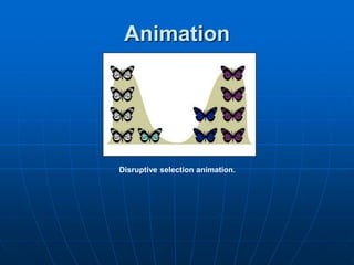 Animation
Disruptive selection animation.
 