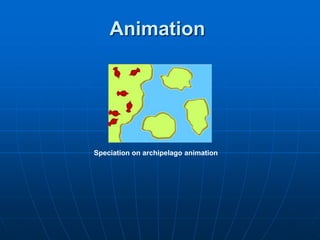 Speciation on archipelago animation
Animation
 