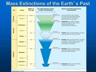 Mass Extinctions of the Earth’s Past
 