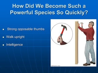 How Did We Become Such a
Powerful Species So Quickly?
 Strong opposable thumbs
 Walk upright
 Intelligence
 