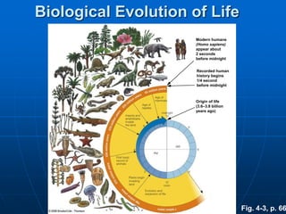 Fig. 4-3, p. 66
Modern humans
(Homo sapiens)
appear about
2 seconds
before midnight
Recorded human
history begins
1/4 second
before midnight
Origin of life
(3.6–3.8 billion
years ago)
Biological Evolution of Life
 