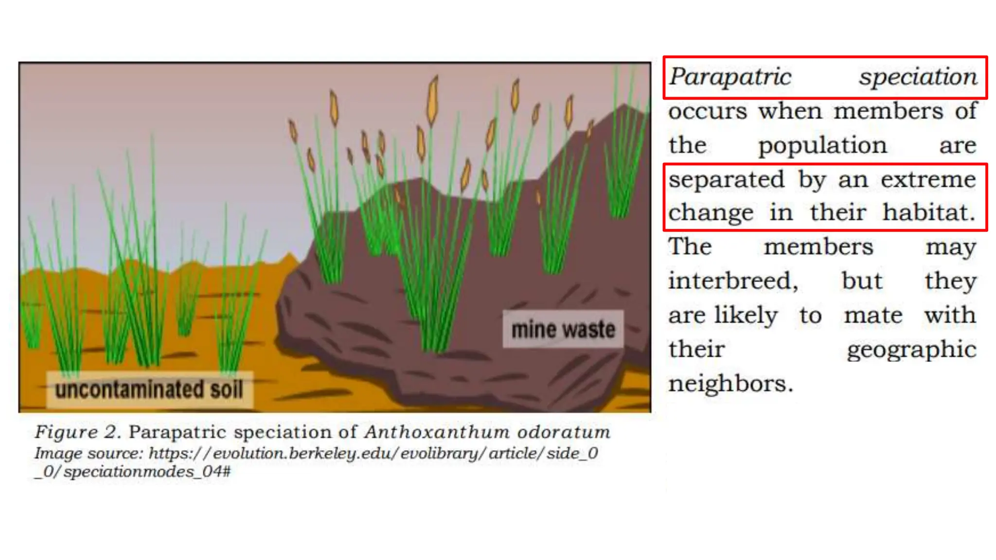 Evolution Pptx General Biology 2 Module Pdf Pptx
