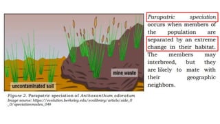 Evolution.pptx general biology 2 module pdf | PPTX