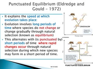 General and Human evolution. Evidence, concepts and chronology 11.pptx