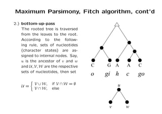 Fitch Algorithm evolution and molecular phylogenetics.pdf