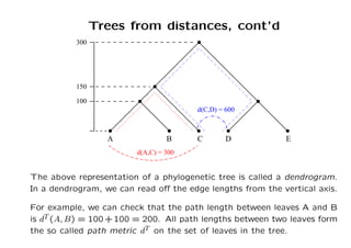 evolution and molecular phylogenetics.pdf