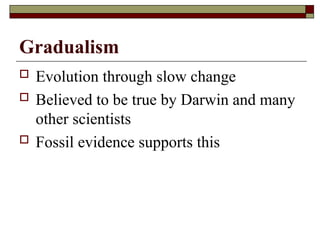 Theory of Evolution, humans and primates | PPT