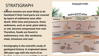 evolution. Methods to determine evolutionary changes .pptx
