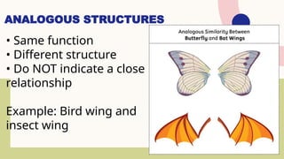 Grade 10 Fourth Quarter Topic Evolution.pptx