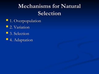 Comprehensive Overview of Evolution Theories and Evidence | PPT