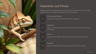 Adaptation and Fitness
Adaptation is the process by which organisms become better suited to their environment. It occurs through
natural selection, where advantageous traits are passed down over generations.
Environmental Pressure
Changes in the environment create selective pressure on organisms.
Adaptation
Organisms with traits that help them survive and reproduce under these pressures become
more common.
Fitness
Fitness refers to an organism's ability to survive and reproduce in a given environment.
Evolution
Over time, the population evolves as advantageous traits become more prevalent.
 