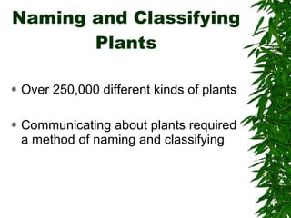 Evolution And Diversity Plants | PPT
