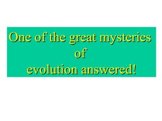 One of the great mysteries  of  evolution answered! 
