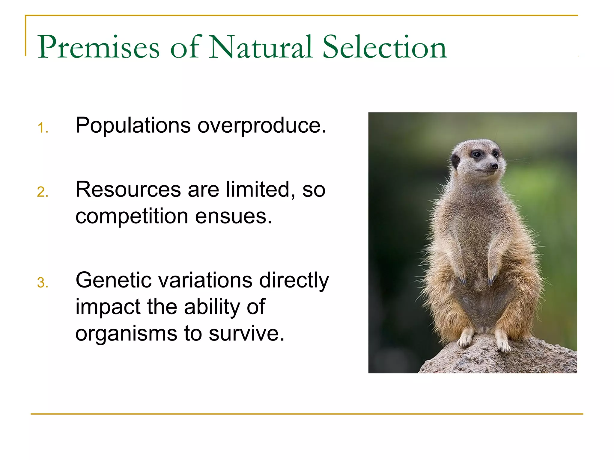 Premises of Natural Selection
1. Populations overproduce.
2. Resources are limited, so
competition ensues.
3. Genetic variations directly
impact the ability of
organisms to survive.
 