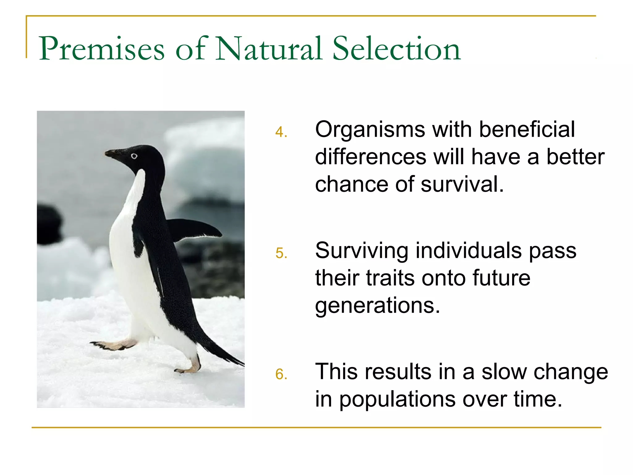 Premises of Natural Selection
4. Organisms with beneficial
differences will have a better
chance of survival.
5. Surviving individuals pass
their traits onto future
generations.
6. This results in a slow change
in populations over time.
 