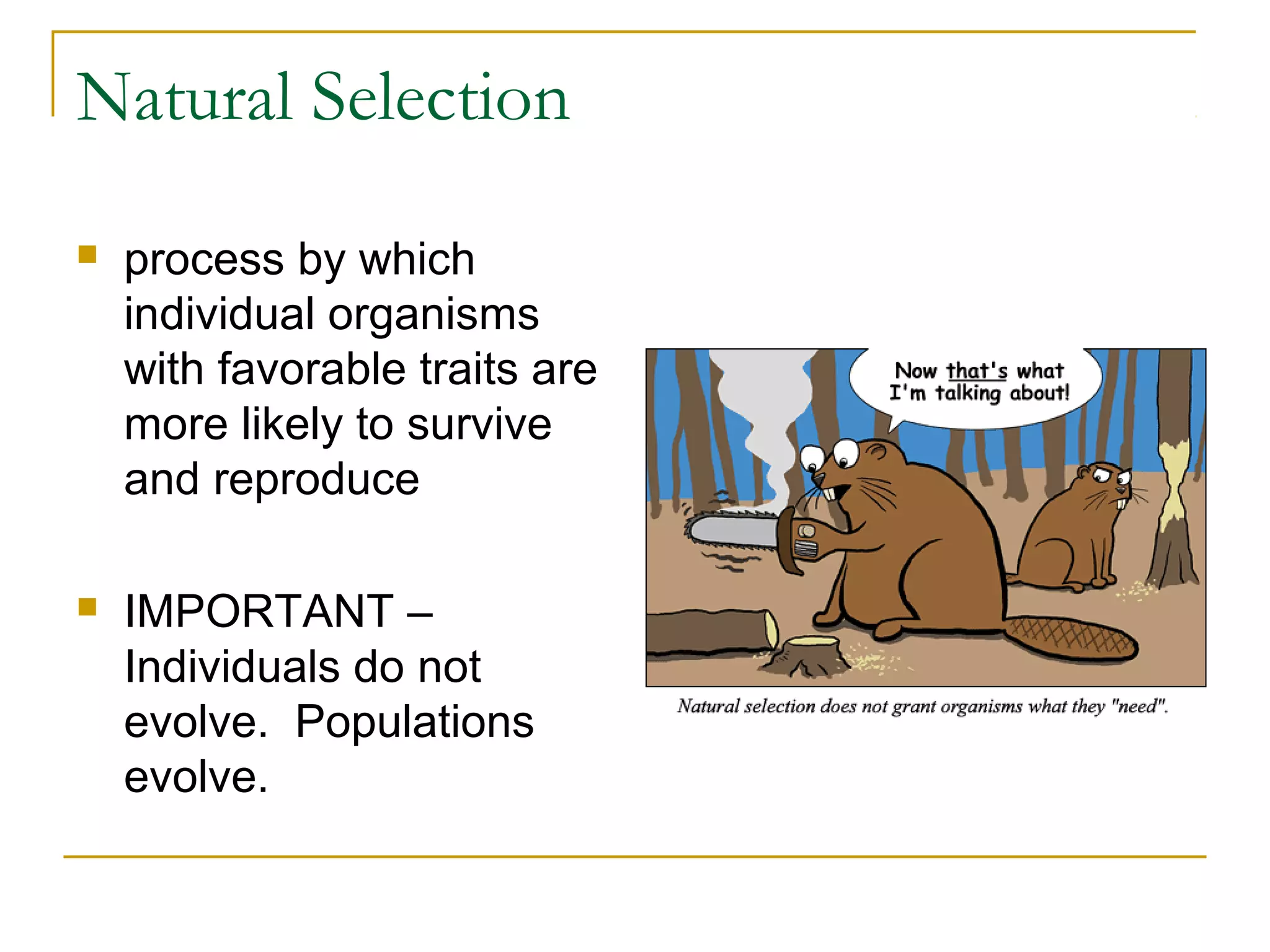 Natural Selection
 process by which
individual organisms
with favorable traits are
more likely to survive
and reproduce
 IMPORTANT –
Individuals do not
evolve. Populations
evolve.
 