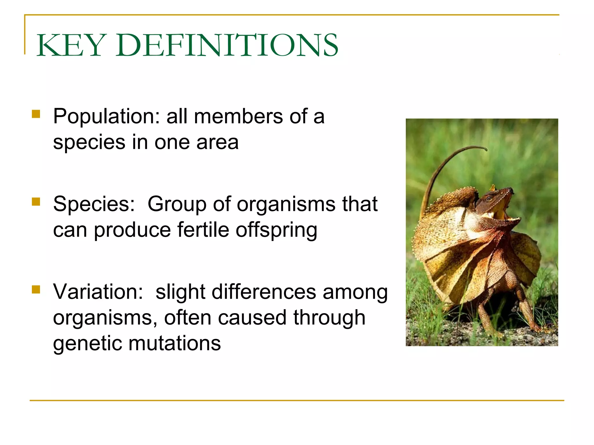 KEY DEFINITIONS
 Population: all members of a
species in one area
 Species: Group of organisms that
can produce fertile offspring
 Variation: slight differences among
organisms, often caused through
genetic mutations
 
