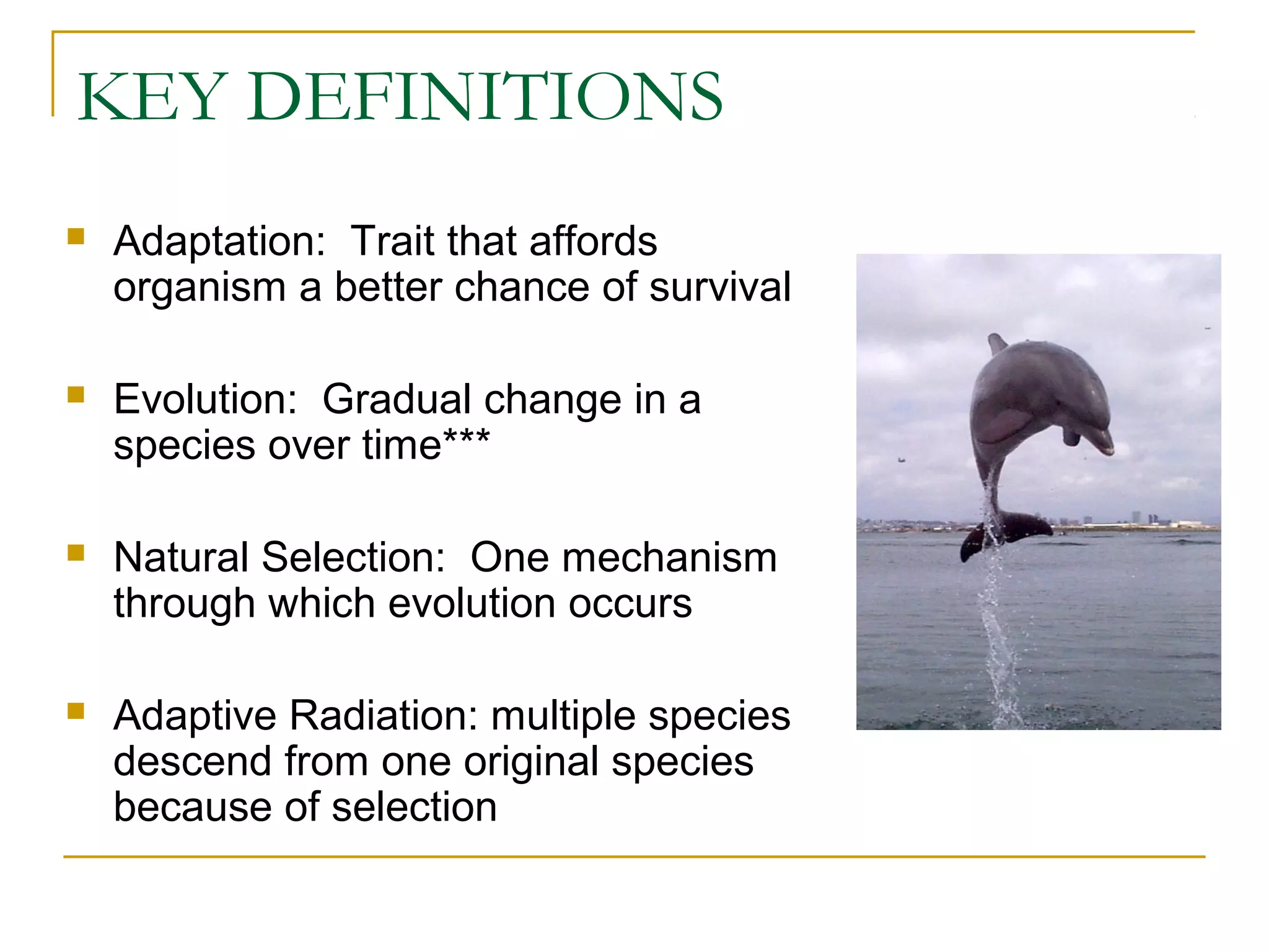 KEY DEFINITIONS
 Adaptation: Trait that affords
organism a better chance of survival
 Evolution: Gradual change in a
species over time***
 Natural Selection: One mechanism
through which evolution occurs
 Adaptive Radiation: multiple species
descend from one original species
because of selection
 