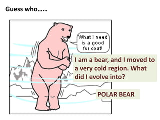 Guess who……
I am a bear, and I moved to
a very cold region. What
did I evolve into?
POLAR BEAR
 