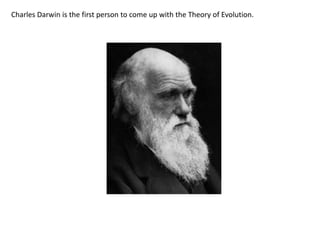 Charles Darwin Theory Of Evolution For Kids