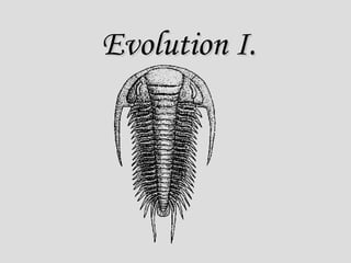 Evolution I. 
