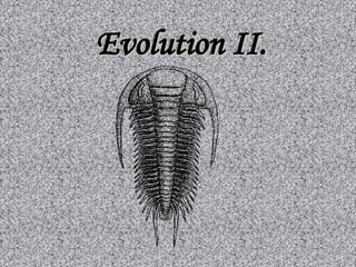 Evolution II. 